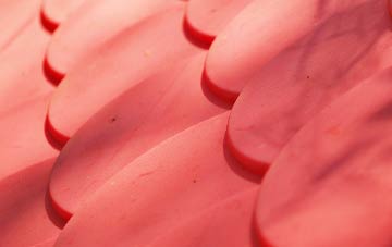 Rescobie plastic roof costs