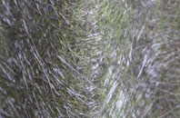 Rescobie fibreglass roof work